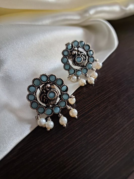 Rishu pastel Blue studs